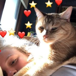 Meet your Posher, Morgan